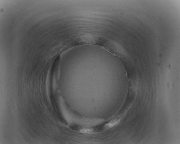 X0000081490080200701121521