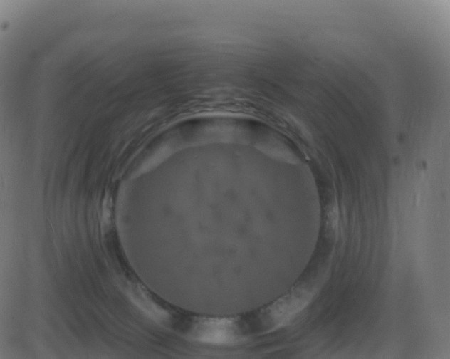 X0000081490081200701121521