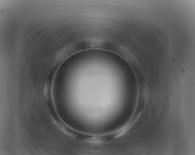 X0000081490082200701121521