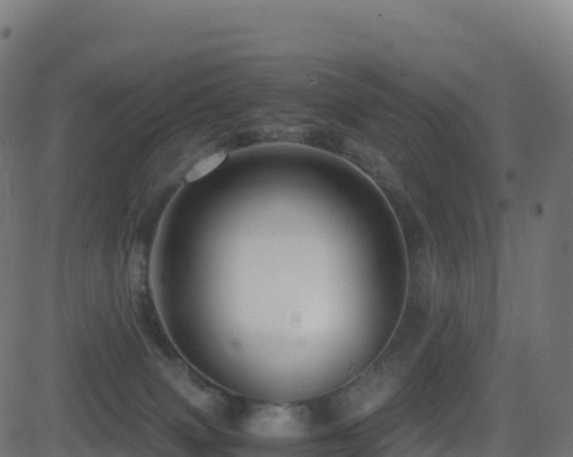 X0000081490083200701121521