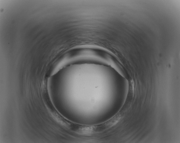 X0000081490084200701121521