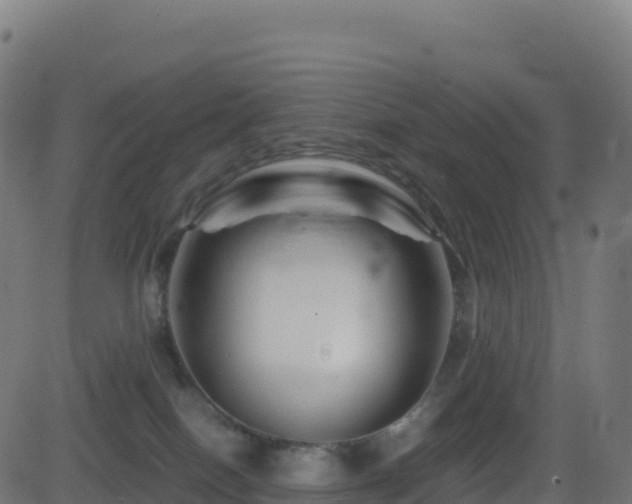 X0000081490086200701121521