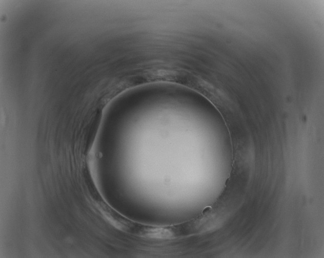 X0000081490087200701121521