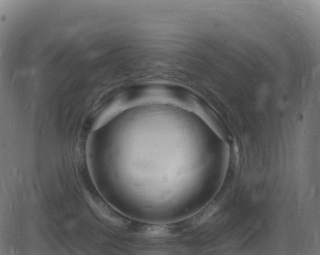 X0000081490088200701121521