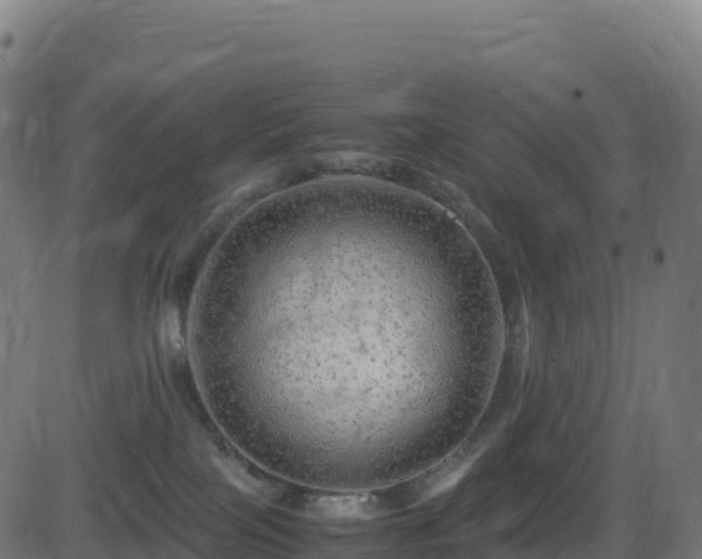 X0000081490089200701121521