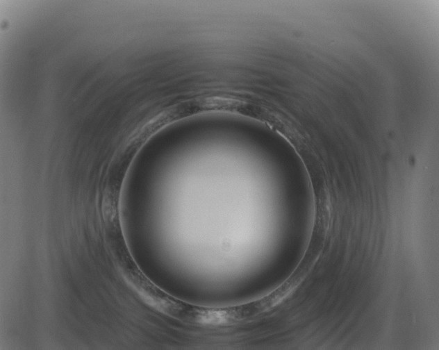 X0000081490091200701121521