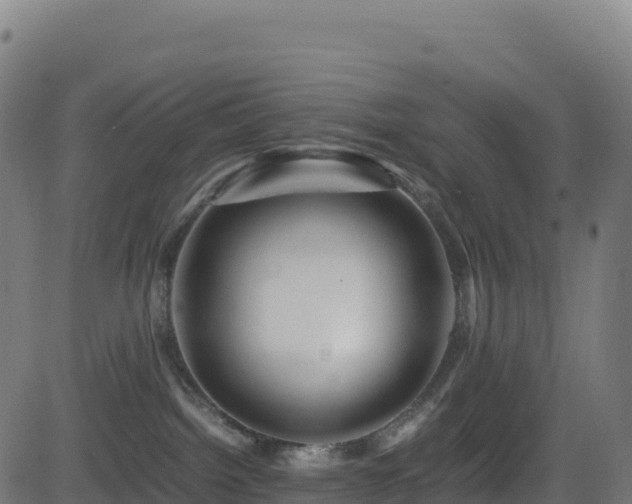 X0000081490092200701121521