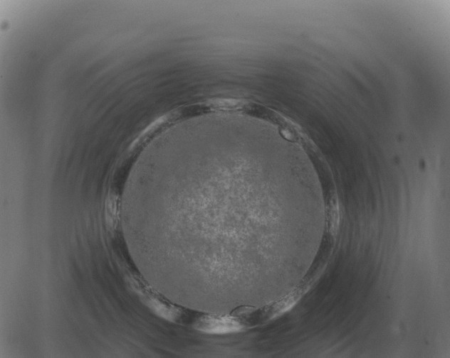 X0000081490093200701121521