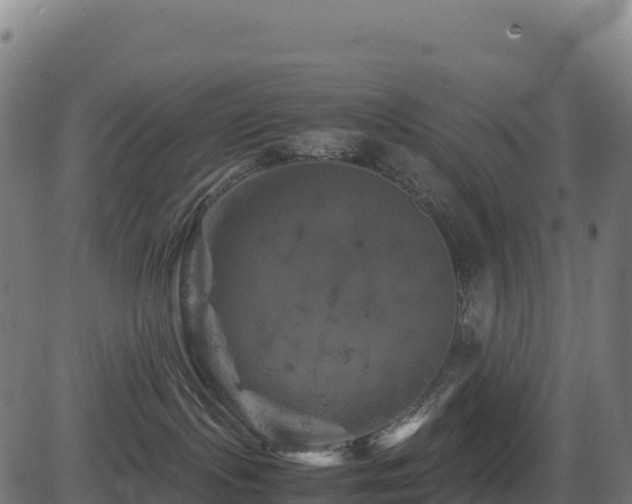 X0000081490095200701121521