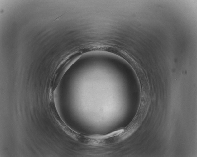 X0000081490096200701121521