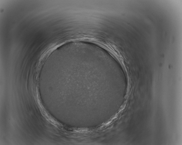 X0000081490097200701121520