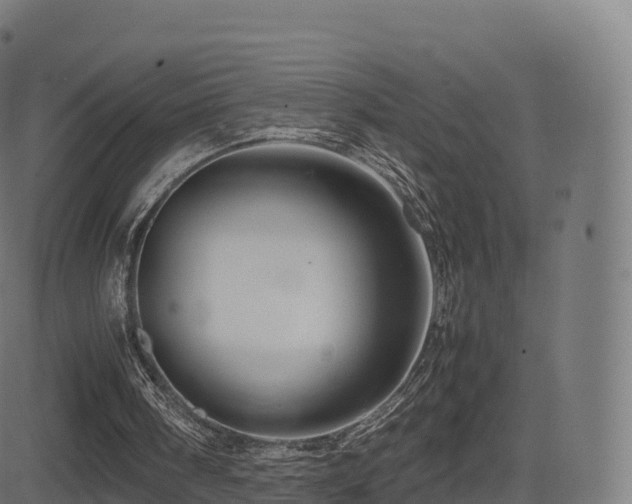 X0000081490098200701121520