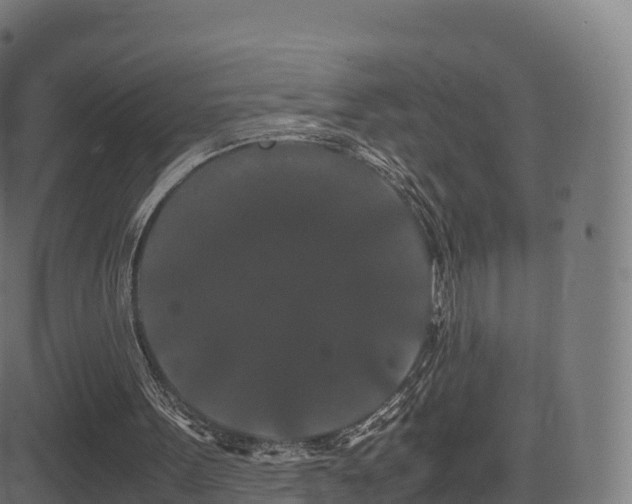 X0000081490099200701121520