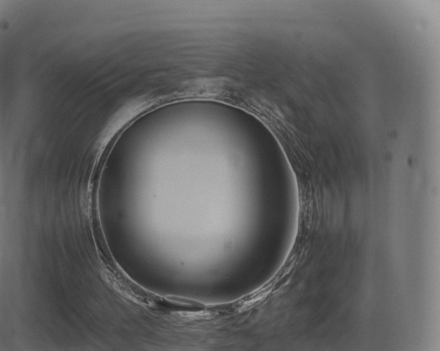 X0000081490100200701121520