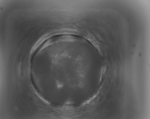 X0000081490101200701121520