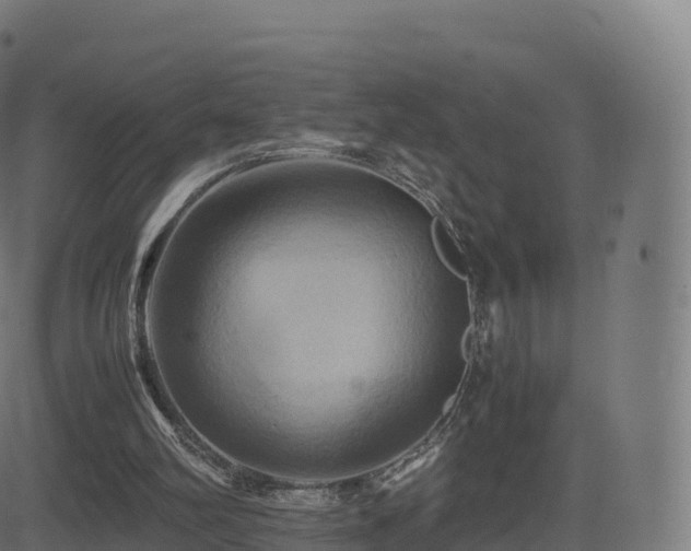 X0000081490102200701121520