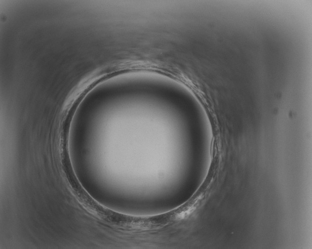 X0000081490103200701121520