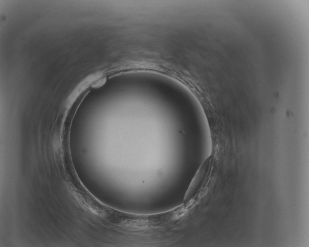 X0000081490104200701121520