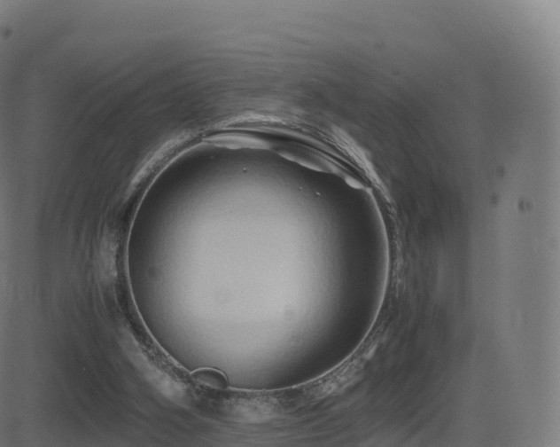 X0000081490106200701121520