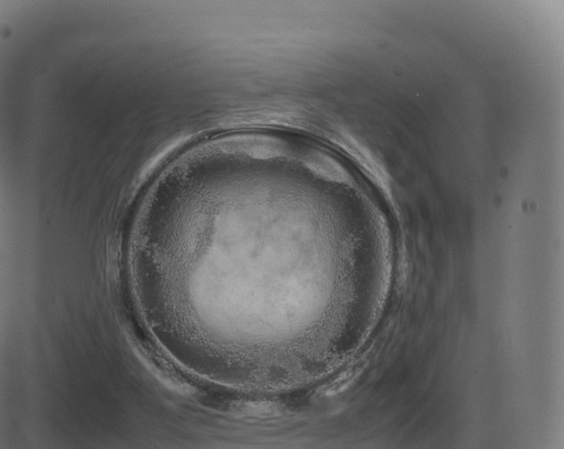 X0000081490107200701121520