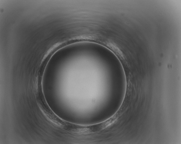 X0000081490108200701121520