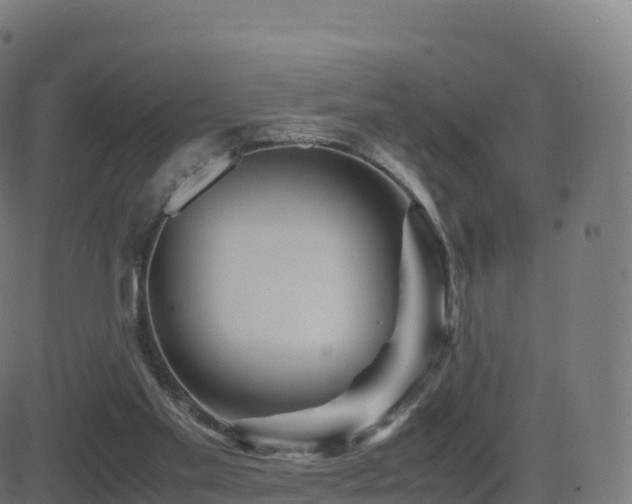 X0000081490109200701121520