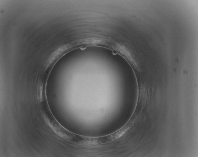 X0000081490110200701121520