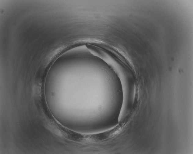 X0000081490111200701121520