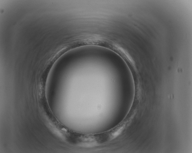 X0000081490113200701121520