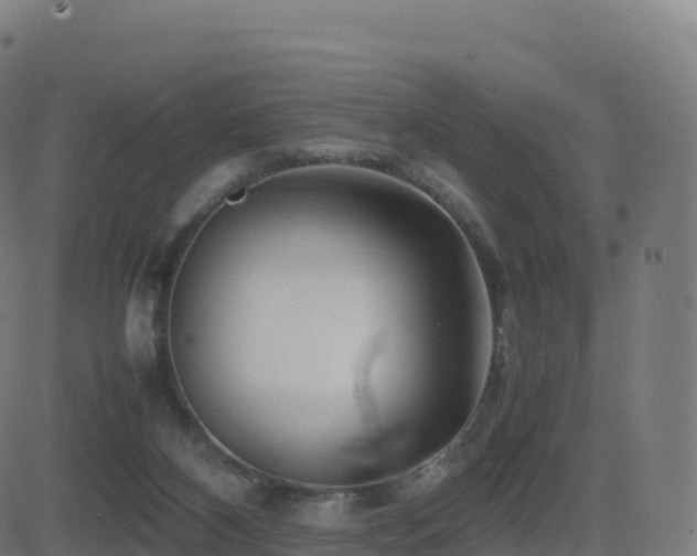 X0000081490116200701121520