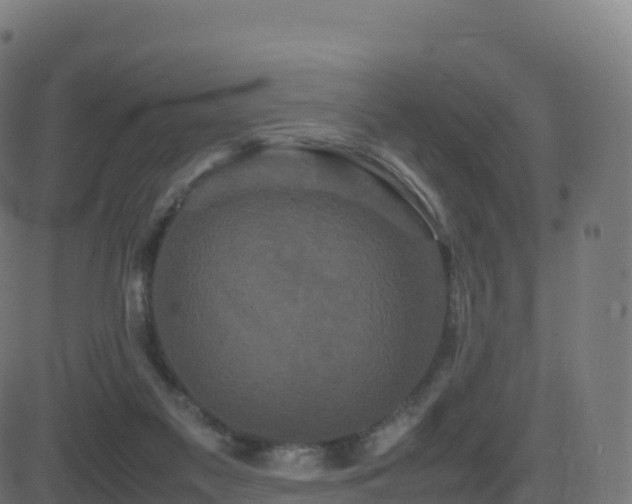 X0000081490117200701121520