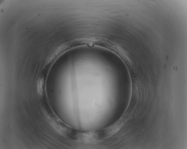 X0000081490118200701121520