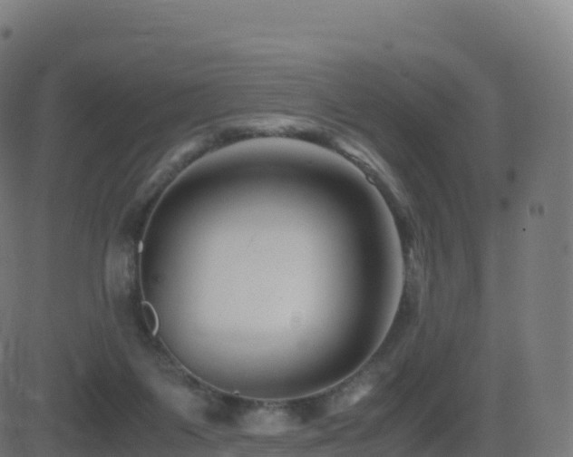 X0000081490119200701121520