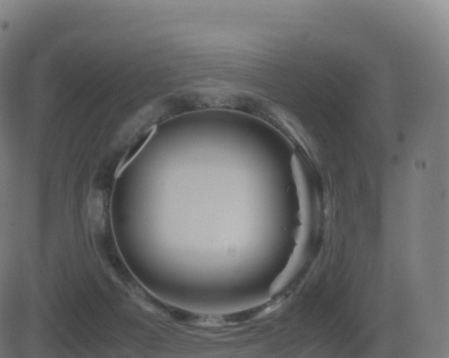 X0000081490121200701121520