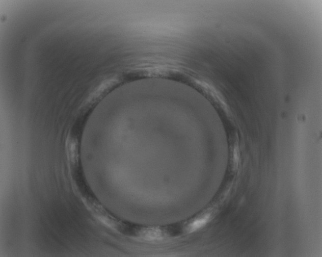 X0000081490123200701121520