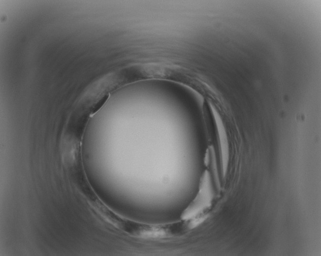 X0000081490125200701121520