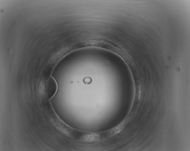 X0000081490126200701121520