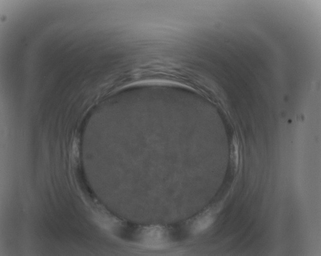 X0000081490127200701121520