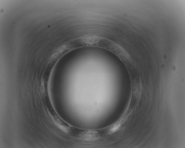 X0000081490128200701121520