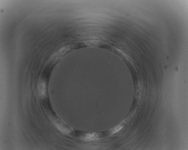 X0000081490130200701121520