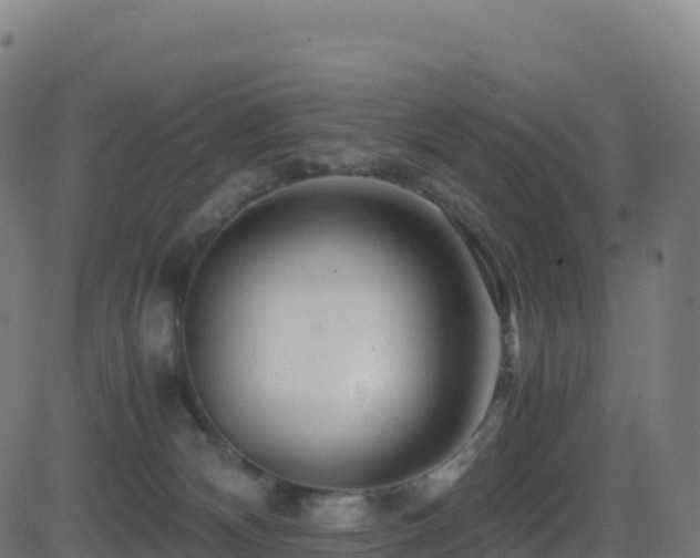 X0000081490132200701121520