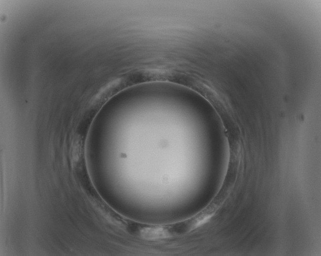 X0000081490133200701121520