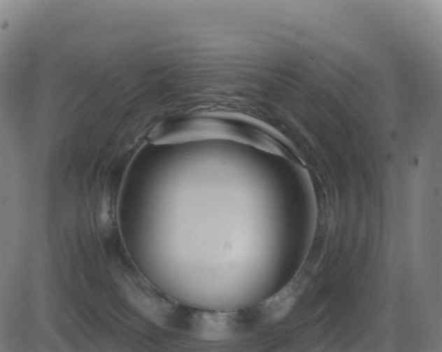 X0000081490134200701121520