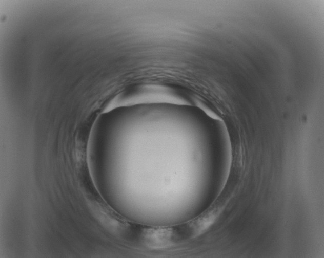 X0000081490135200701121519