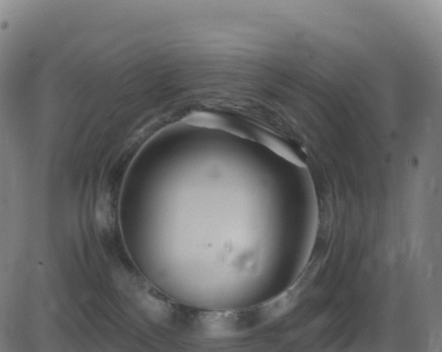 X0000081490136200701121519