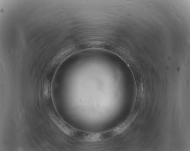 X0000081490138200701121519