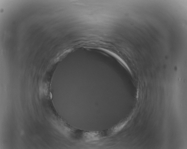 X0000081490139200701121519