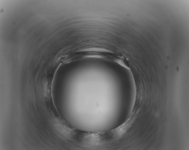 X0000081490140200701121519