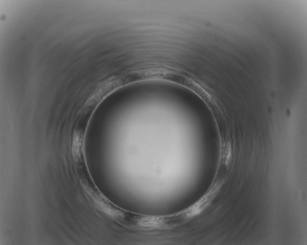 X0000081490142200701121519