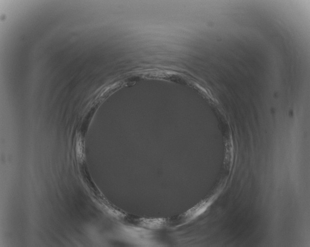 X0000081490143200701121519